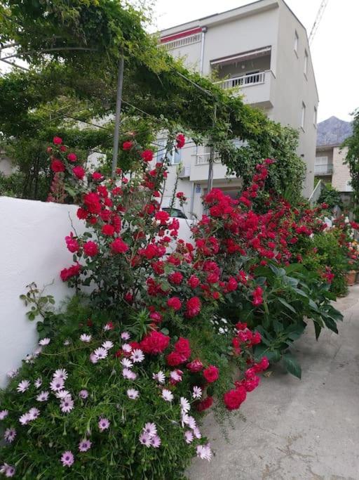 Jacky Apartment / Sea View Makarska Exterior foto